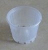 Dome Squat Pot - 120 x 95 mm Clear
