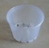 Dome Squat Pot - 140 x 100 mm Clear