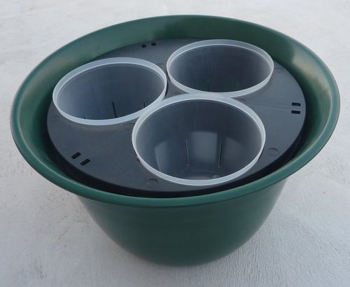 Display Pot - Green - 5 piece - 347 x 210mm