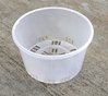 Port Squat Pot - 125 x 75 mm Clear